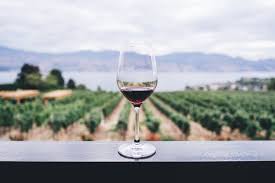 Вино "Bon Voyage" Sauvignon Blanc, Alcohol Free, 0.75 л 