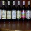 Игристое вино Montelliana, Prosecco Treviso DOC Extra Dry, 200 мл (Игристое вино Монтеллиана, Просекко Экстра Драй, 0.2 литра)