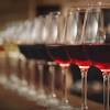 Вино Traversa, "Vina Salort" Chardonnay Reserva, 2018, 0.75 л 