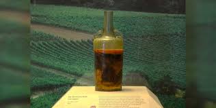 Виски Suntory, "Hakushu" Distiller's Reserve, gift box, 0.7 л (Виски Хакушу, в подарочной коробке, 700 мл)